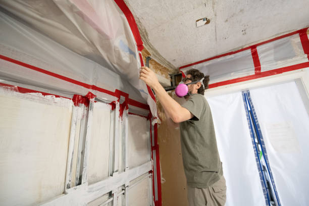 Mold Remediation for Vacation Homes in Livonia, LA