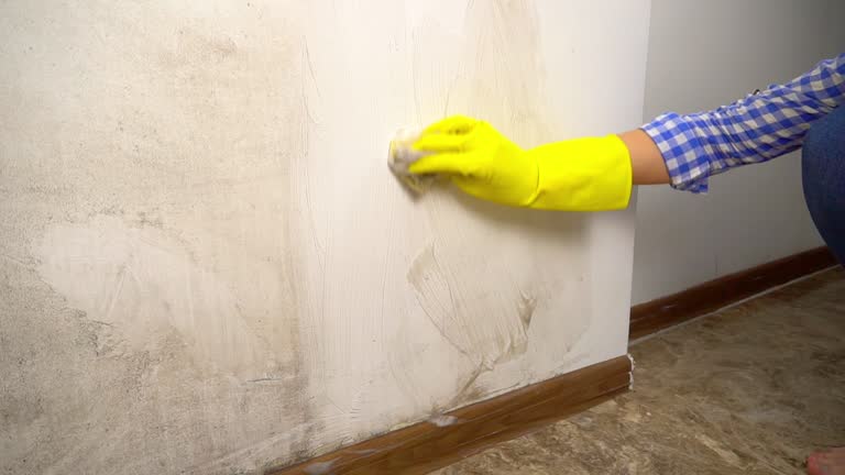 Best Forensic Mold Investigation  in Livonia, LA