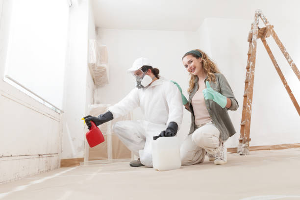 Best Mold Damage Restoration  in Livonia, LA