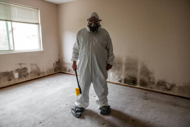 Best Attic Mold Removal  in Livonia, LA